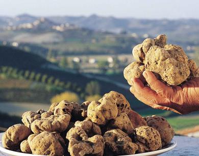 aquahotel it offerta-hotel-a-rimini-fiera-del-tartufo-a-sant-agata-feltria 006