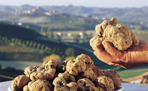 aquahotel it offerta-hotel-a-rimini-fiera-del-tartufo-a-sant-agata-feltria 001