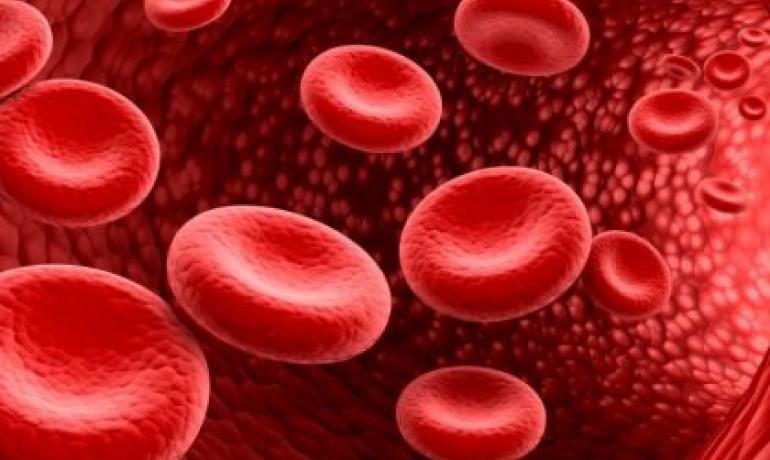 aquahotel it offerta-simposio-societa-italiana-di-medicina-trasfusionale-e-immunoematologia-simti 050